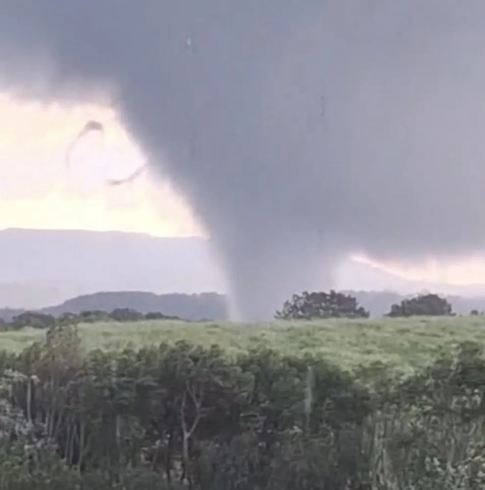 Rastro de destruição deixado pelo tornado na área rural dos Campos Gerais. Foto Reprodução 
