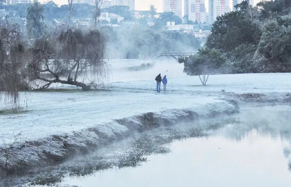 Geada no Parque Barigui, em Curitiba — Foto: Lud Rogério de Araújo Neto/Você na RPC