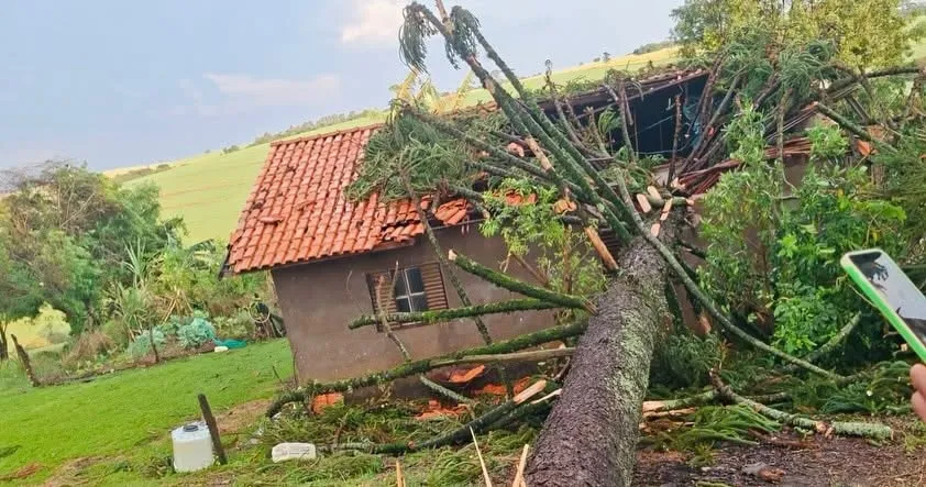 Foto: Divulgação.