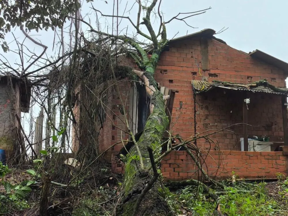 Em três dias duas tempestades causam destruição em Arapoti
