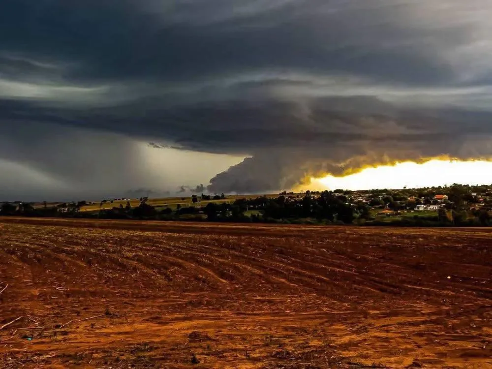 Temporais ameaçam lavouras e aumentam risco de prejuízos no campo do Norte Pioneiro