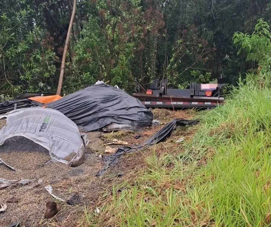 O caminhão, que transportava sementes de soja e insumos agrícolas, saiu da rodovia e tombou em uma área de mata às margens da pista. Foto: PRE