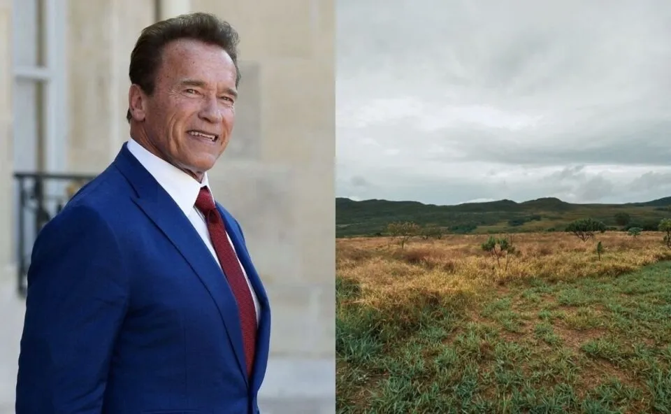 Arnold Schwarzenegger doa terreno de R$ 2 milhões para preservar um ecossistema protegido 