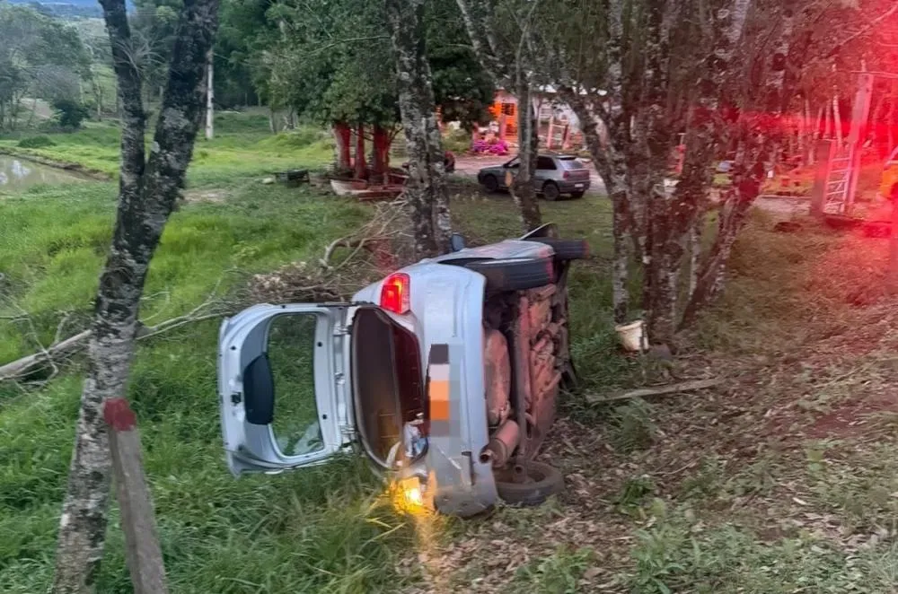 Motorista tenta desviar de animais na pista e carro capota no Norte Pioneiro