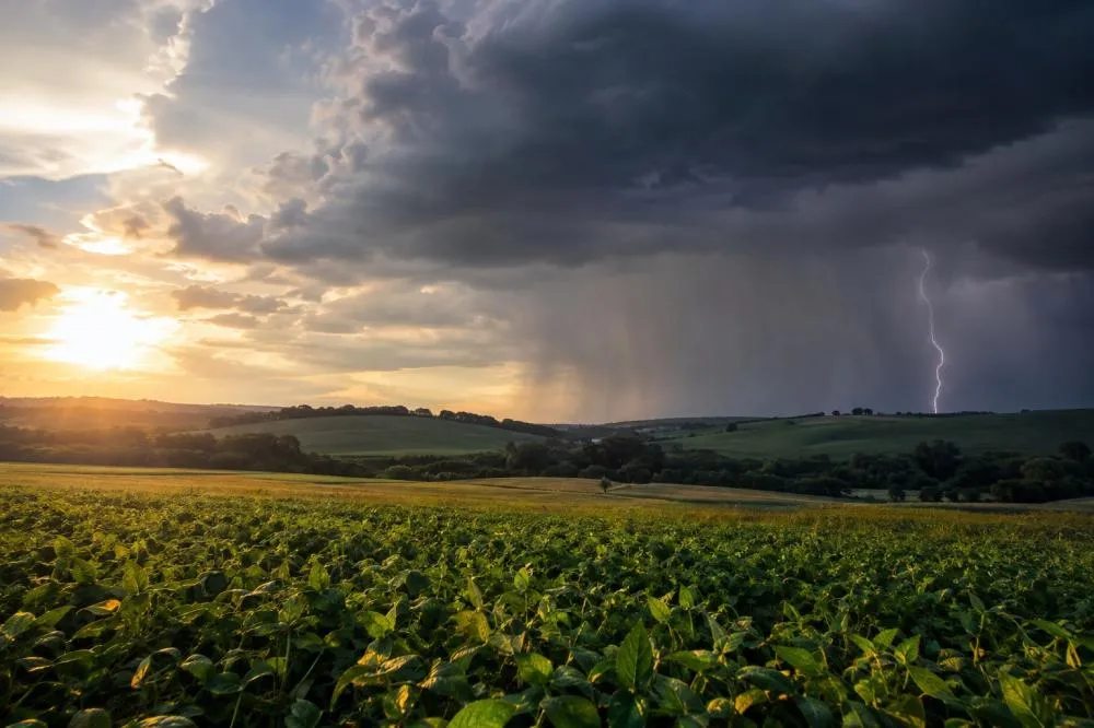 Primavera tem previsão de chuvas acima da média e calorão no Norte Pioneiro e Campos Gerais