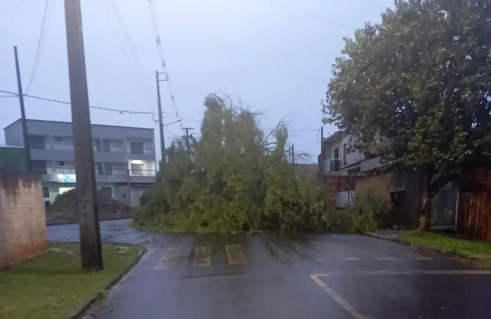 Temporal causa estragos e prejuízos em cidades da região
