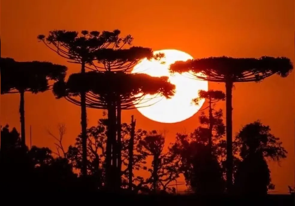 Após vendavais e granizo, Paraná entra em alerta vermelho para onda de calor