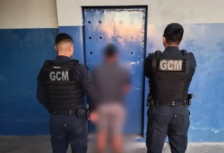 Foto: Divulgação.