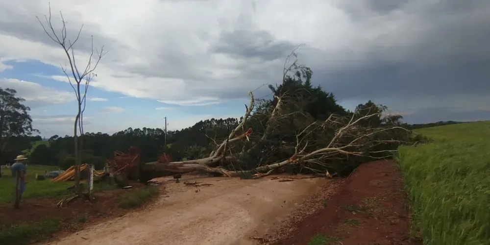 Temporal destelha casas e deixa rastro de destruição em cidade da região