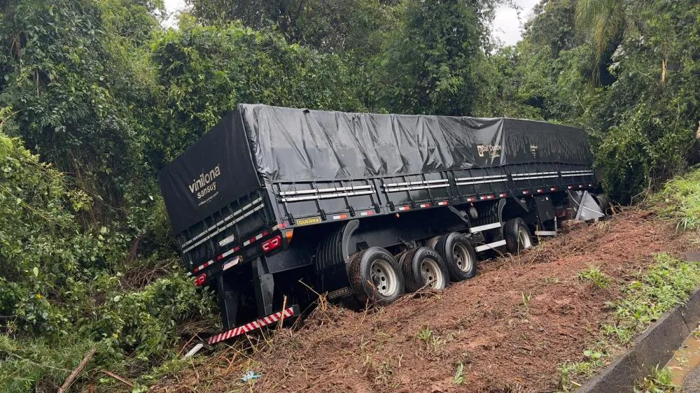 Árvore caída na pista provoca acidente em Wenceslau Braz