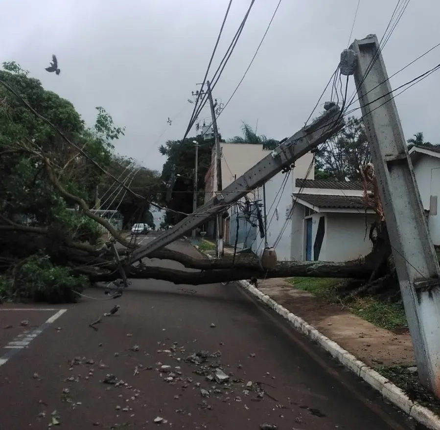 Copel substitui 2 mil postes quebrados, seis torres de alta tensão e 113 km de redes no pior setembro climático das últimas décadas 