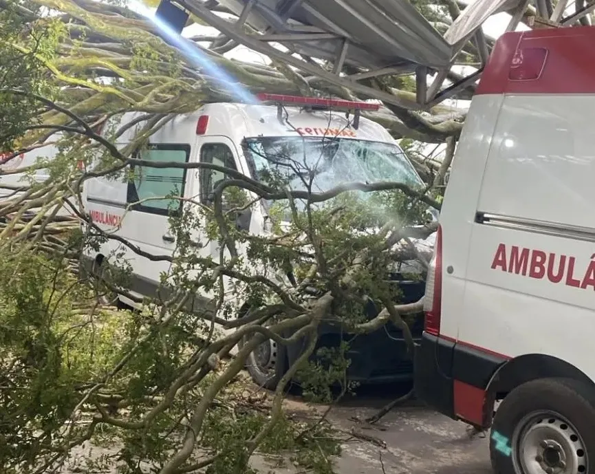 Temporal derruba árvores e danifica base do SAMU em Jacarezinho
