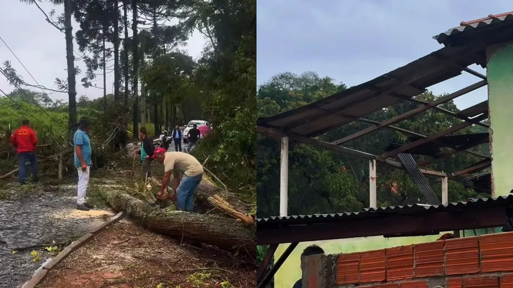 Vendaval derruba árvores, destelha casas e ameaça abastecimento de água em Jaguariaíva