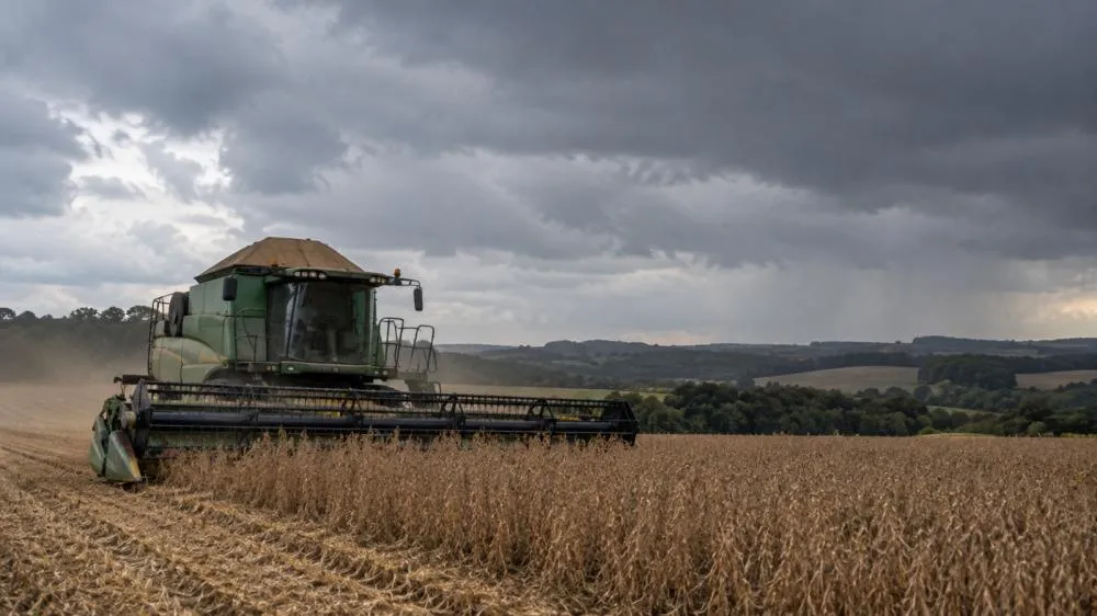 Chuvas intensas ameaçam lavouras e preocupam produtores do Norte Pioneiro