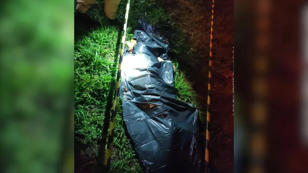 Pedestre morre atropelado na PR-151, nos Campos Gerais 